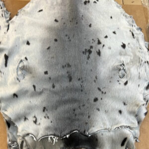 Seal Fur Skins