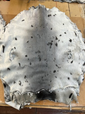 Seal Fur Skins